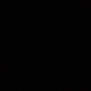 Meet your Posher, Liz